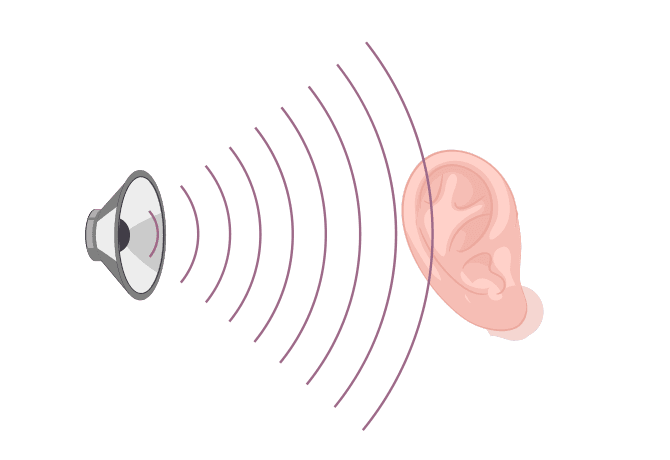 Комплексная программа «Проверка слуха»