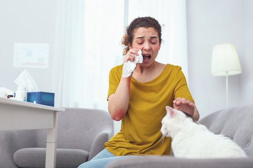 Лечение аллергии на кошек и собак в Клинике Санитас